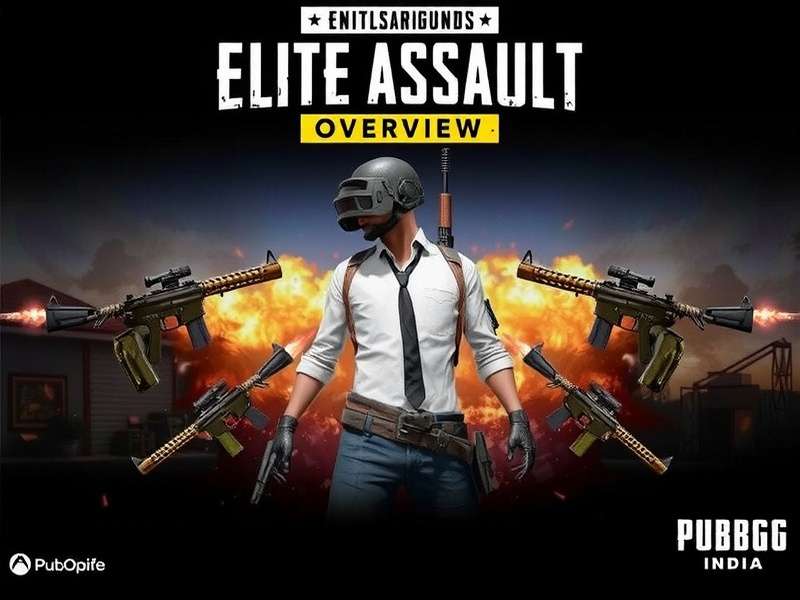 PUBG India Elite Assault Game Overview PUBG India Elite Assault Overview